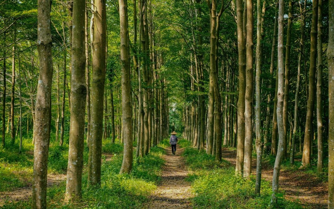 Finding Your Way Back Home